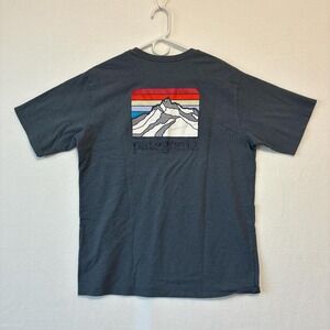Grey Patagonia T-shirt with mountain graphic men's med